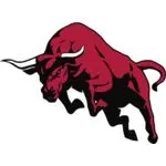 Bull Miners logo