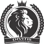 Divitis d.o.o. logo