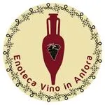Enoteca Vino in Anfora logo