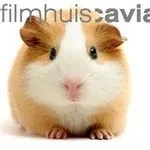Filmhuis Cavia logo