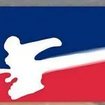 Lightning Kicks Martial Arts logo