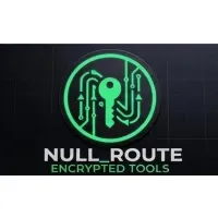 NULL_ROUTE · Crypto Insider_ logo