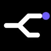 P2Flux logo