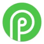 Payid19 logo
