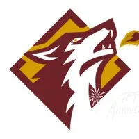 SMM WolFix logo
