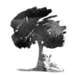 Treeoflifeguitars.co.uk logo