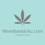 Weedseeds4u.info logo