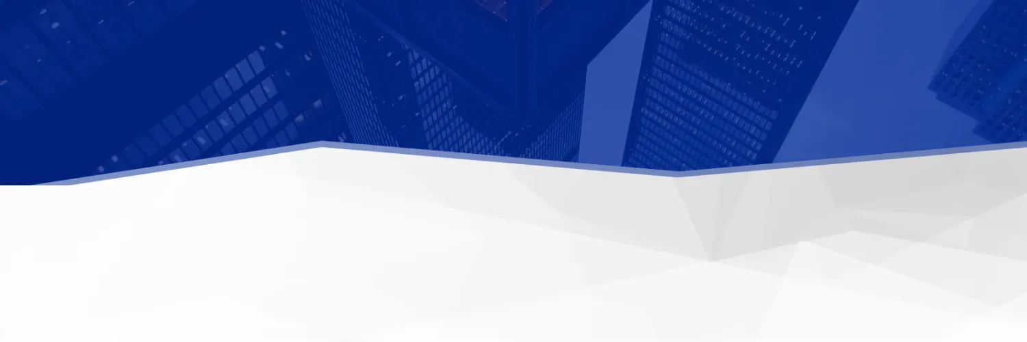 LegalBison.com - Crypto Company / Licenses