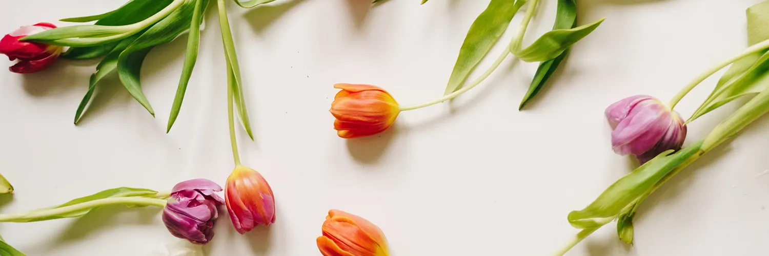 LesFleurs.ch