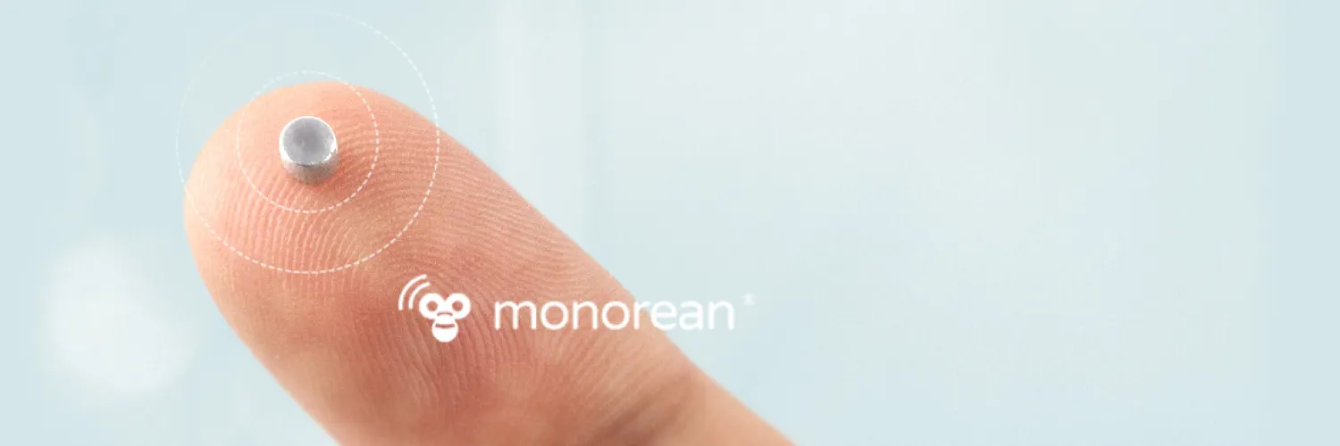 Monorean