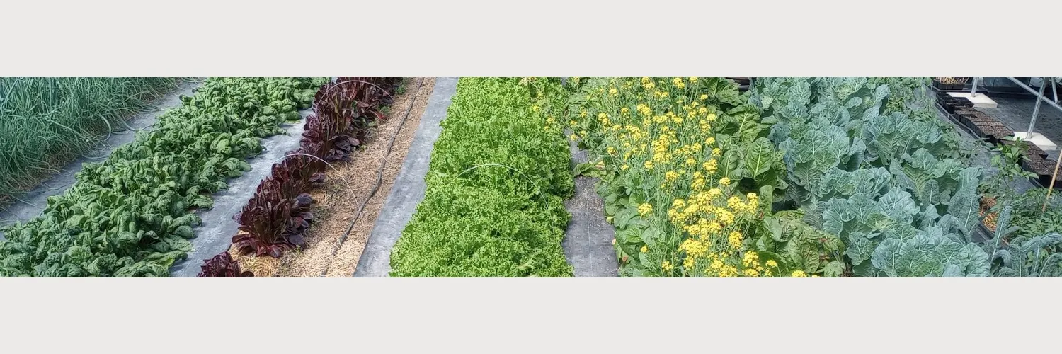 Nutrient Farm