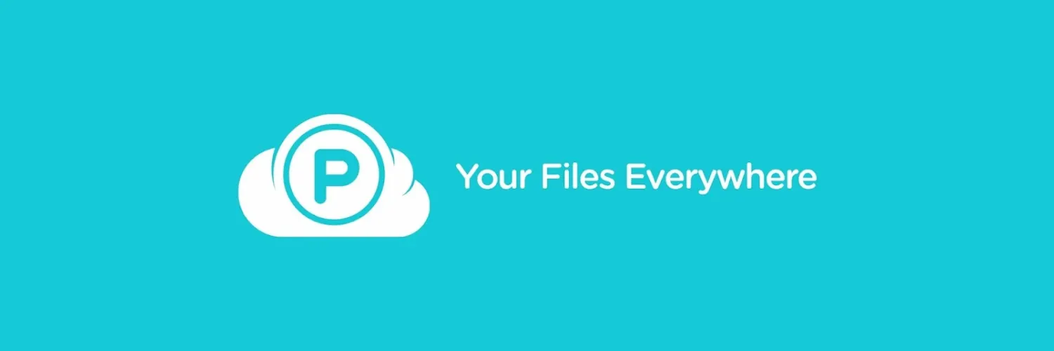 Pcloud.com
