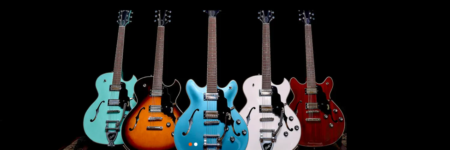 Treeoflifeguitars.co.uk