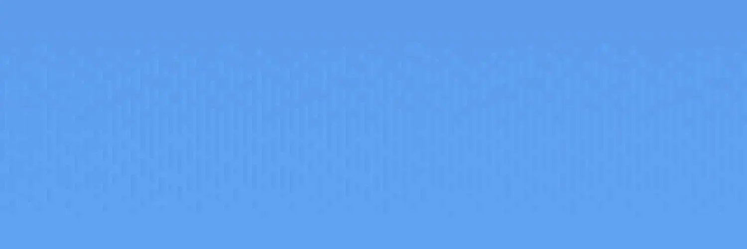 WP Translate