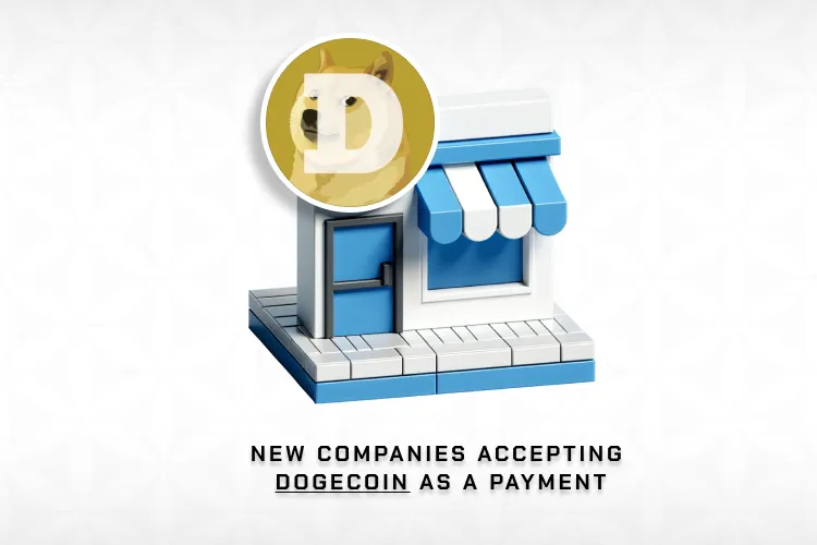 Dogecoin (DOGE) Companies weekly digest Dec 2024 #2