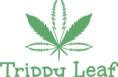 10% OFF for cryptwerk users