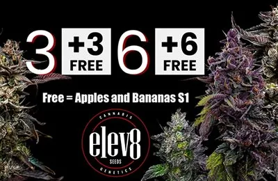 The Tobacco Seed Company - reviews, contacts & details | Growing plants