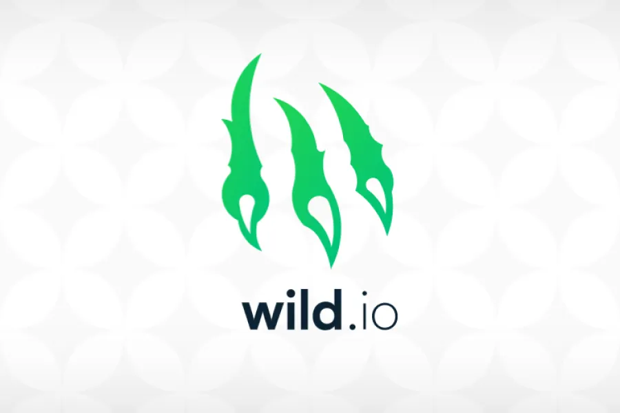 Exploring the Rise of Cryptocurrency Casinos: A Review of Wild.io Casino