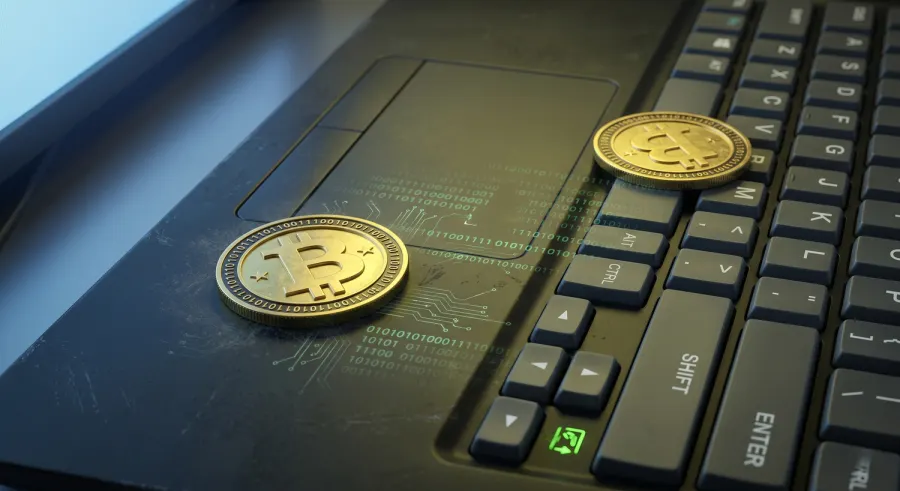 Blockchain Transparency and Consumer Protection: What Every User Should Understand Before Transacting