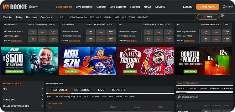 Top 10 Best Offshore Sportsbooks - How to do Sports Betting Abroad (2025)