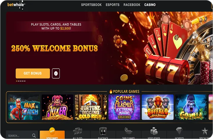 Best Offshore Casinos Compared and Ranked