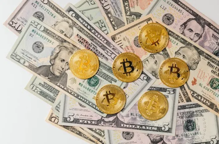 Crypto Renaissance: Unveiling the Future of Bitcoins and Altcoins