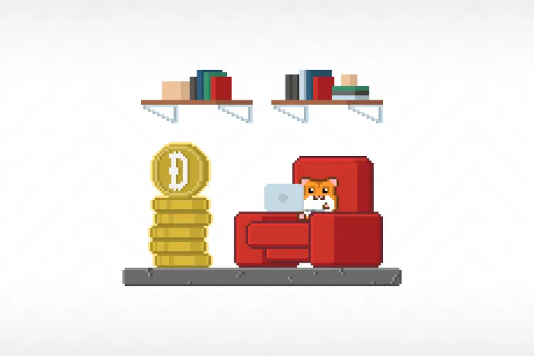 DogeCoin Mining: History, Perspectives, and Best Practices for Miners