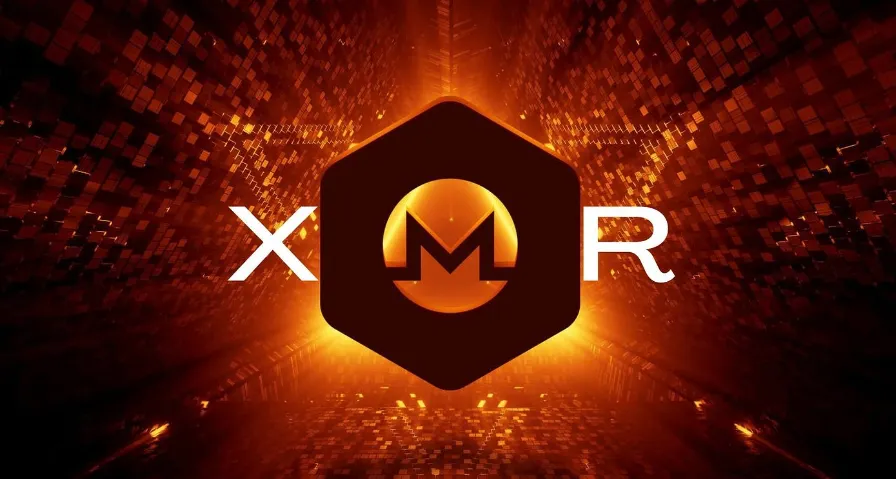 How Does Monero Remote Node Work?