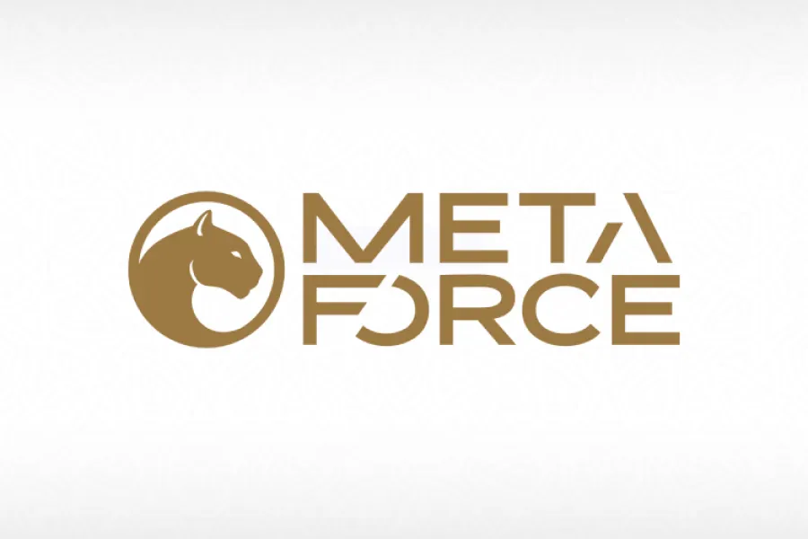 Lado Okhotnikov, CEO of Meta Force, Speaks About His Commitment to the DeFi Principles and Unlocking the Participants’ Assets