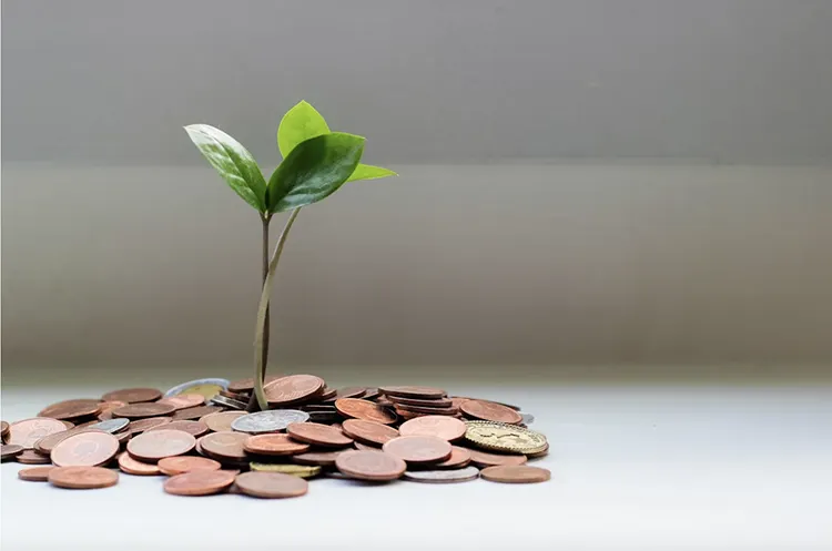How to Turn Crypto Holdings into Smart Investments