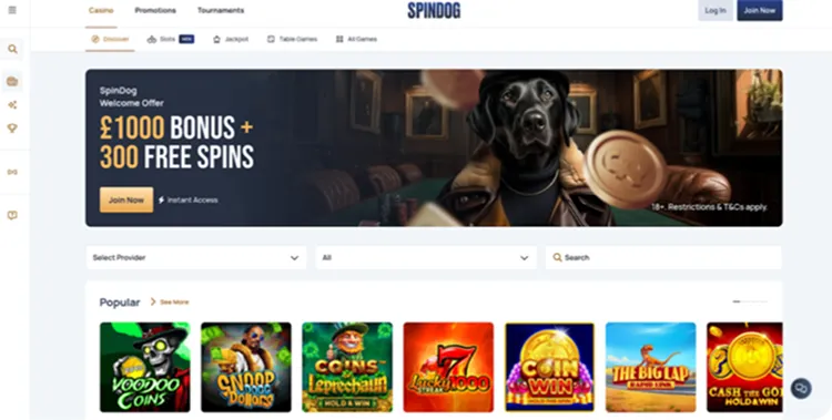 The Best Paying Non GamStop Casinos - Top 10 Casinos Not on Gamstop Ranked