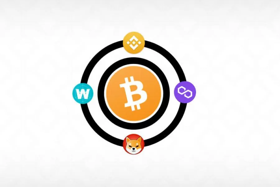 The World of Cryptocurrencies — Is There a Future?