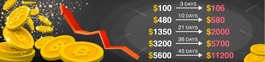 Earn Passive Income Cloud Mining with USDminer