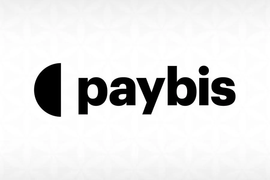 Your Paybis Guide in Crypto Society (2025)