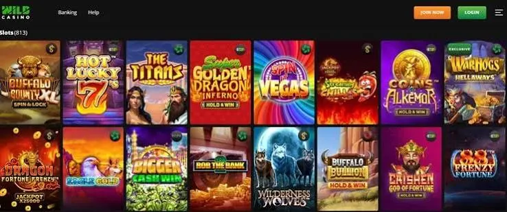 Best Bitcoin Casino Sites: 5 Top Crypto Casinos, Payments & Bonuses for 2026