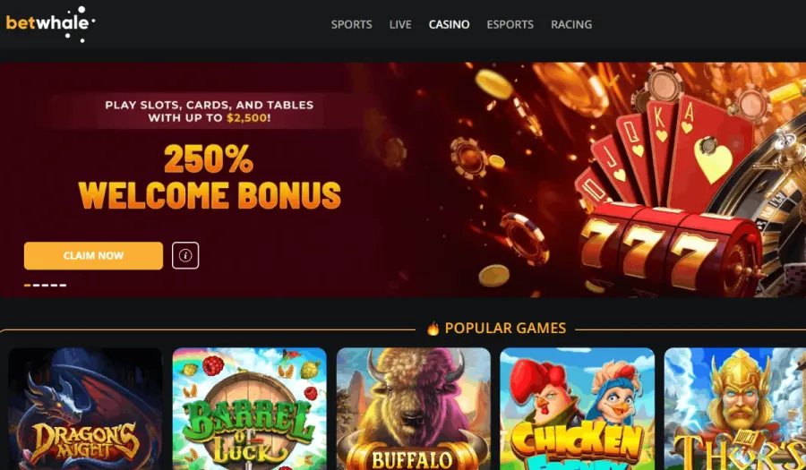 5 Best Crypto Casinos Ranked - Top Bitcoin Gambling Sites Worth Trying in 2026