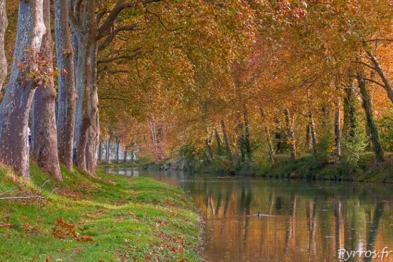 4 Hour Cruise on the Canal du Midi
