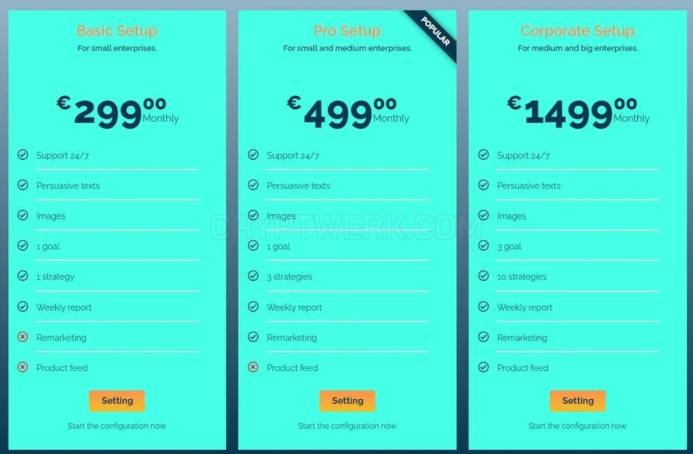 Amazon Ads Management
