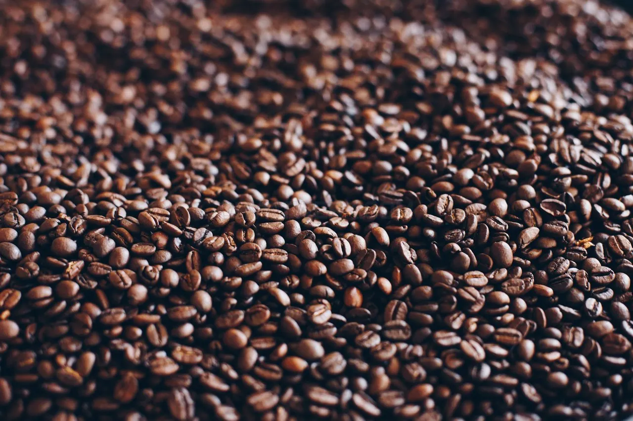 Brazil Cerrado Coffee