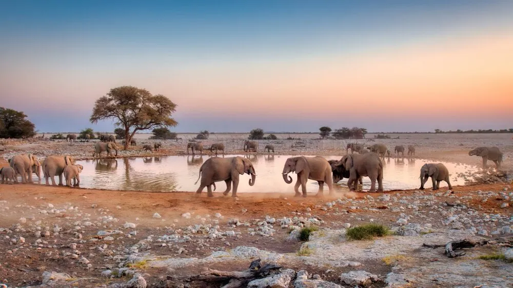 Discover Namibia - 10 nights