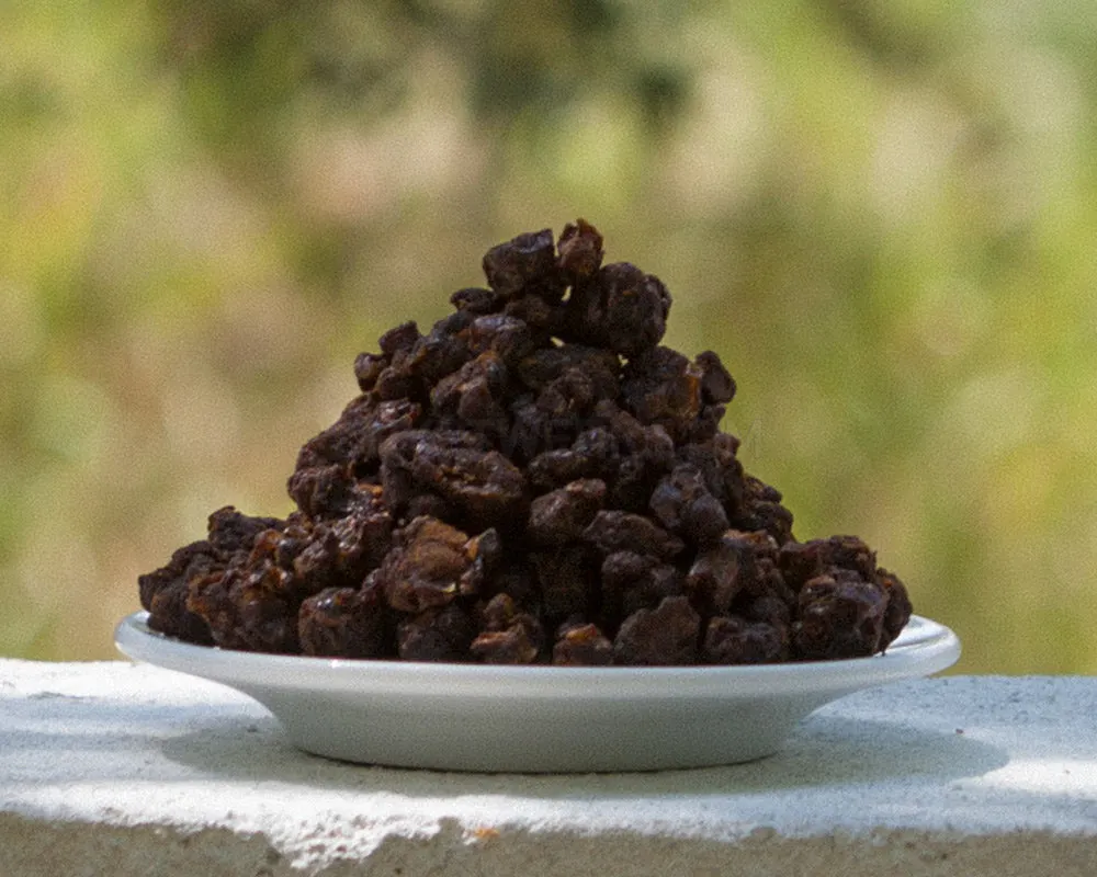 DrApis Bee Bread, 450g (1 lb) ziplock, all natural, traditional methods, directly from the beekeeper, produced in Portugal