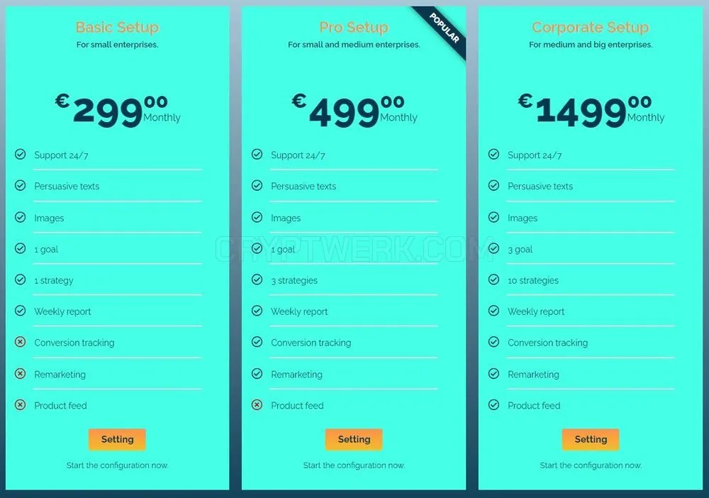 Facebook Ads Management