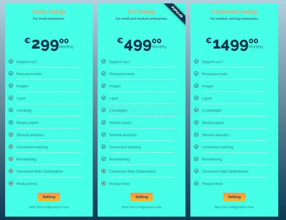 Google Ads Management