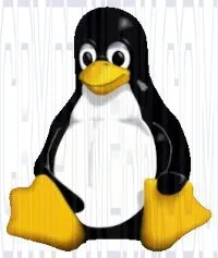 LINUX SME Services