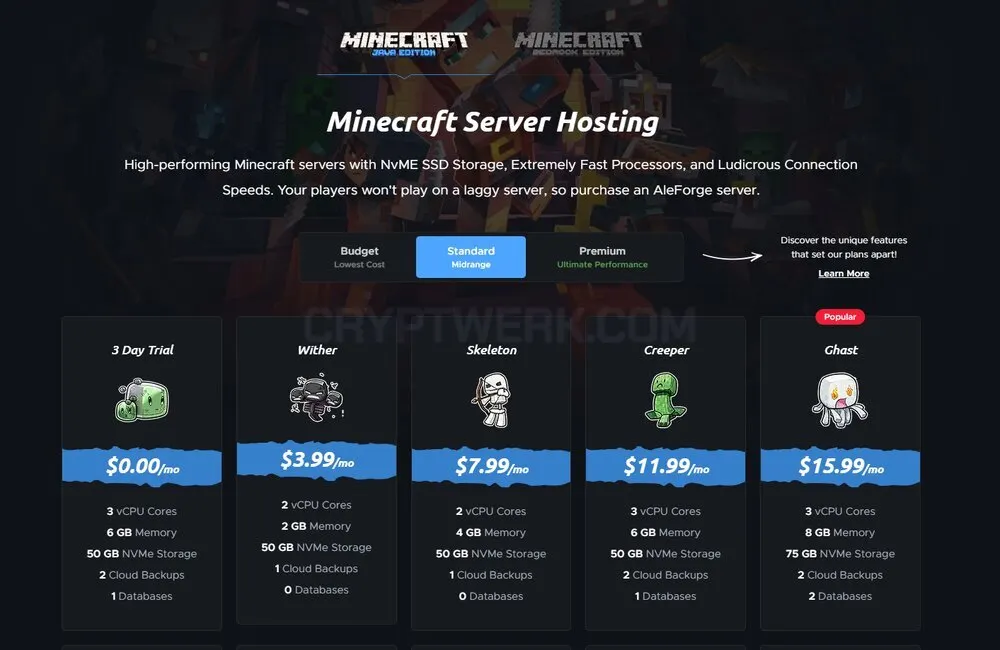 Minecraft Server Hosting