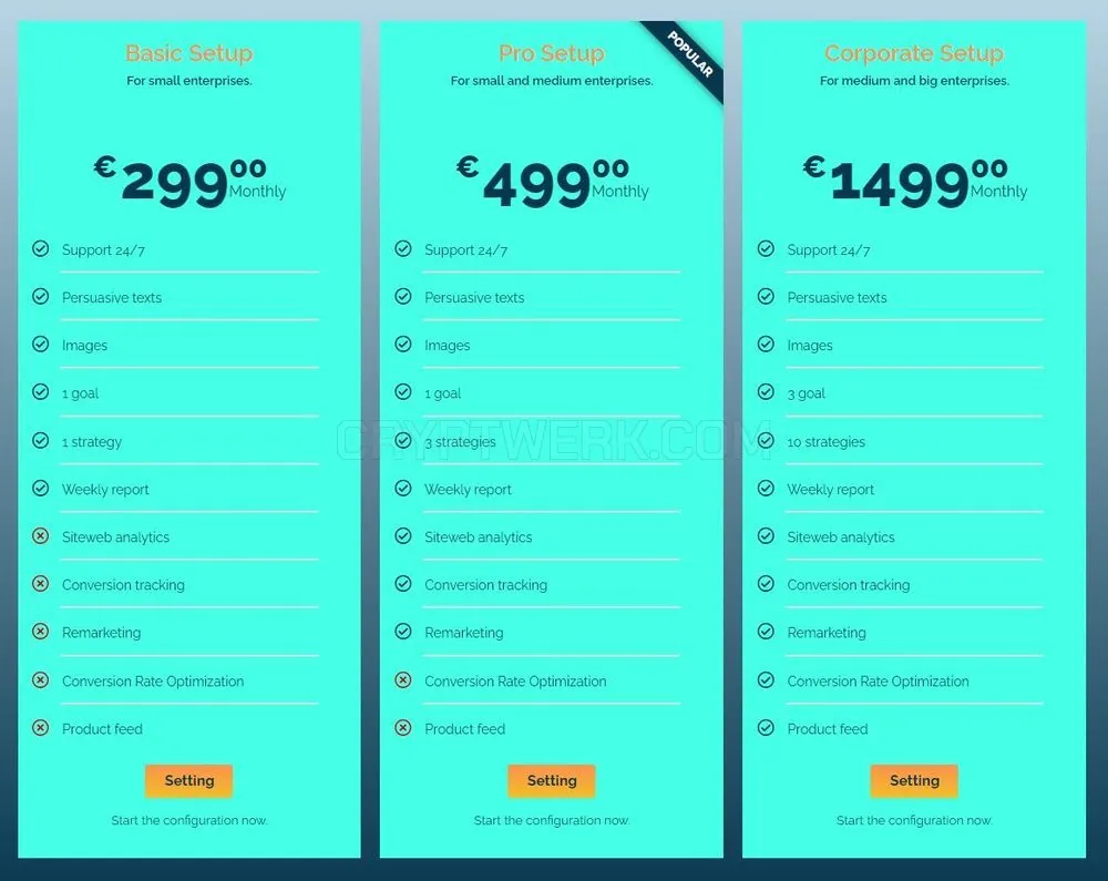 YouTube Ads Management